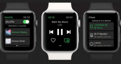 SpotifyΪApple Watch˶ý֧