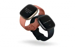 FitbitƳֱ䱸˺ܶ๦